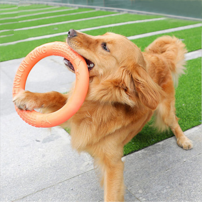 Dog Disc