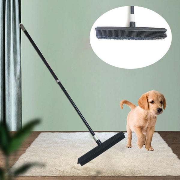 Pet Hair Broom