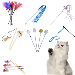 Cat Interactive Toys