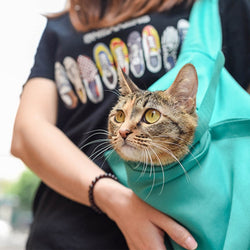 Cat Carrier Bag