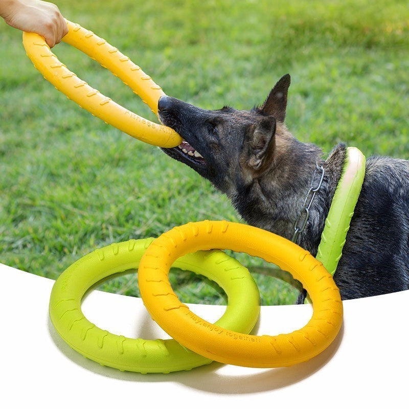 Dog Disc