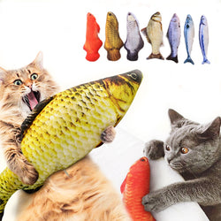 Cat Fish Toy